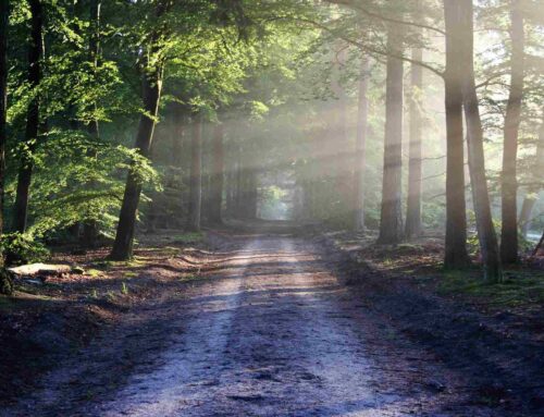 Healing the Heart: Affair Recovery