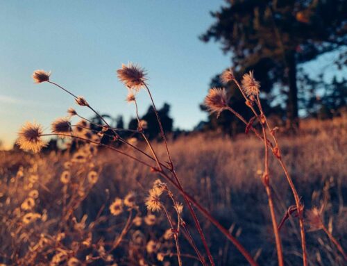 How the World Sees Your ADHD (and What God Says)
