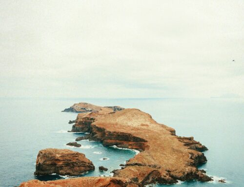 Avoiding Toxic Positivity in Grief