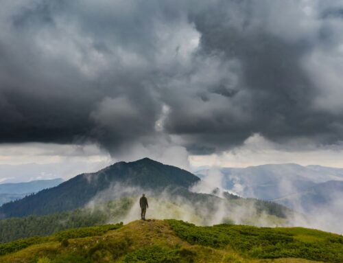 Why Does God Allow Suffering? A Christian Counselor’s Perspective