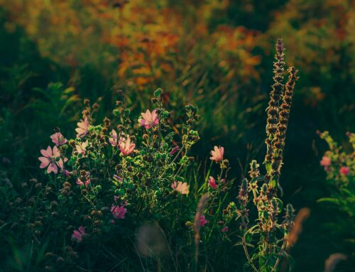 Why “Just Focus” is the Worst Advice for Someone with ADHD