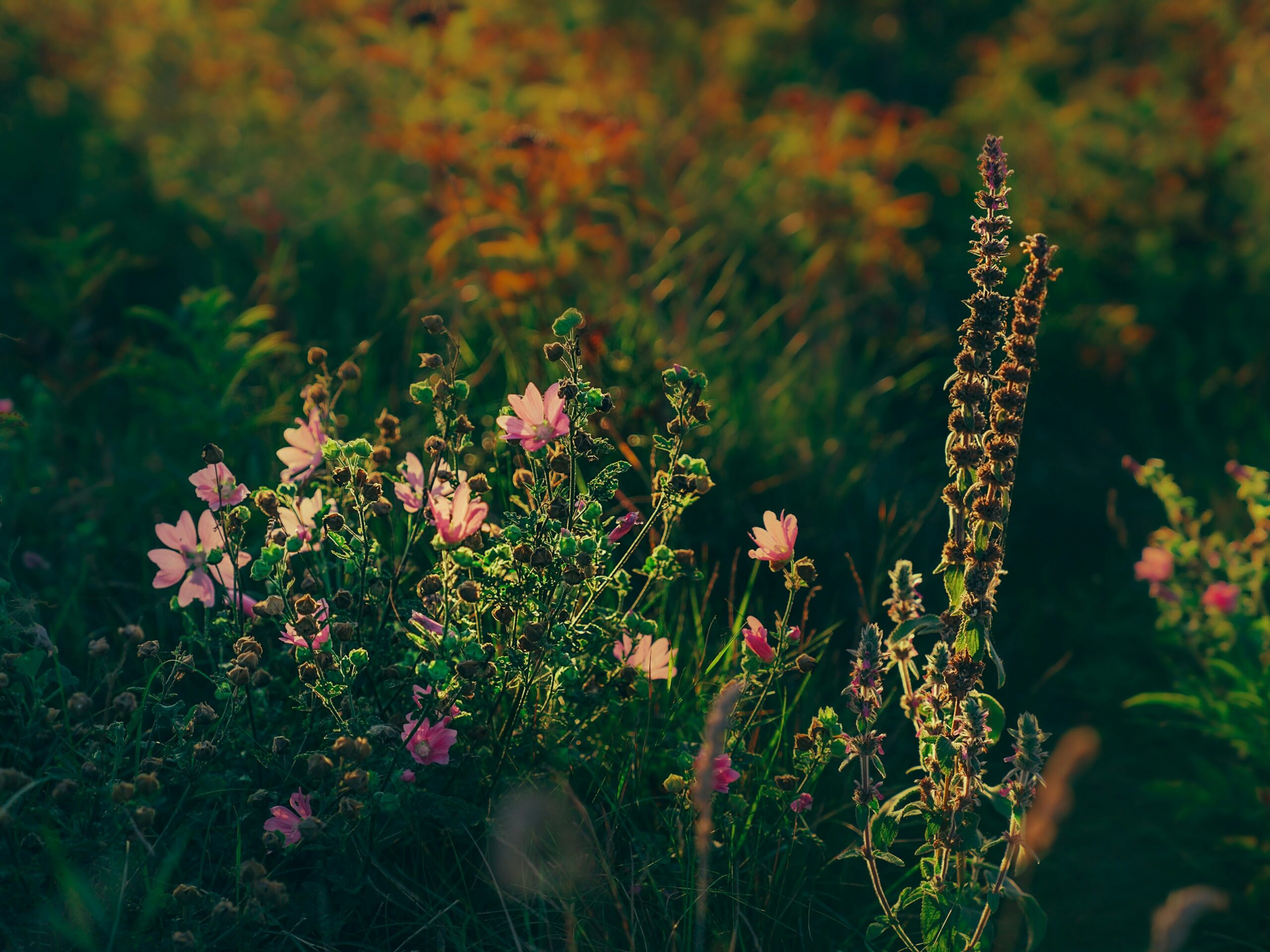 Why “Just Focus” is the Worst Advice for Someone with ADHD