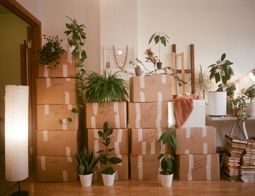 Recognizing and Understanding Hoarding Disorder