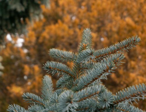 How to Deal with Anger When You’re Hurt