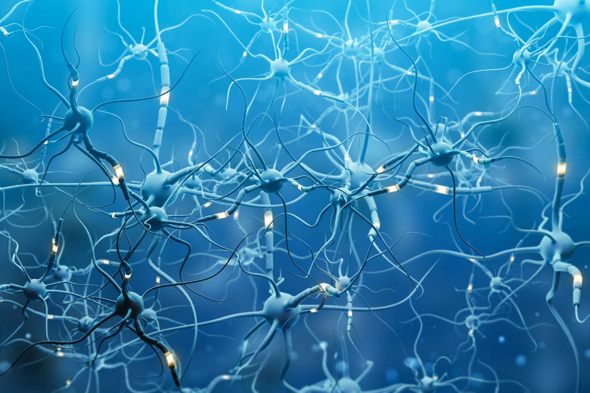 True Transformation: Rewiring the Brain with Healthy Thoughts